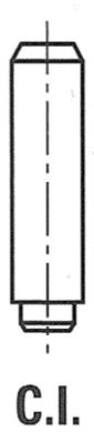 Valve Guide (WG1155624)