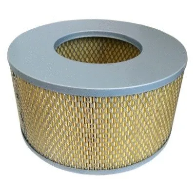 Air Filter (WG1747424)