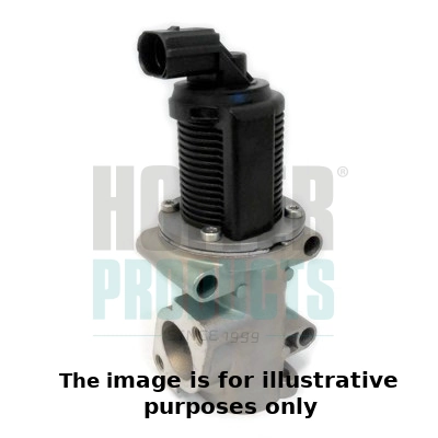 EGR Valve (WG1899141)