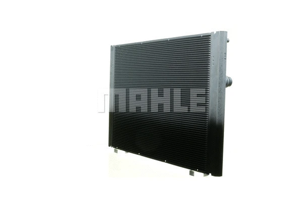 Radiator, engine cooling (WG2182816)