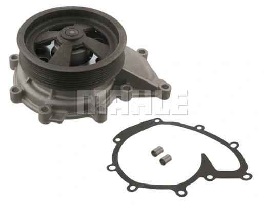 Water Pump, engine cooling (WG2181849)