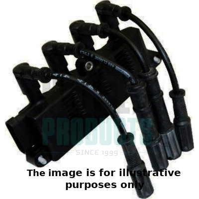 Ignition Coil (WG1902049)