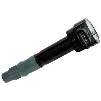 Ignition Coil (WG1012482)