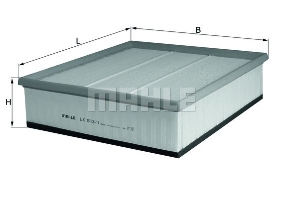 Air Filter (WG1216563)