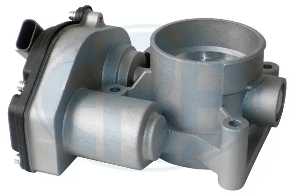 Throttle Body (WG1796577)