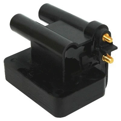 Ignition Coil (WG1012480)