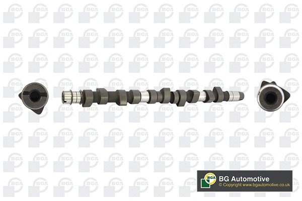 Camshaft (WG1490472)