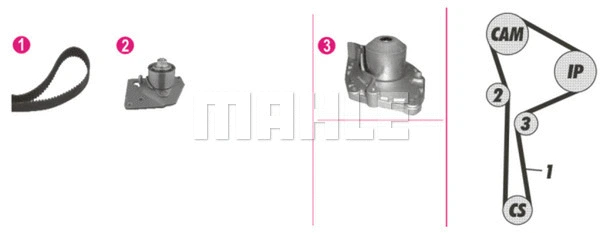 Water Pump & Timing Belt Kit (WG2182156)