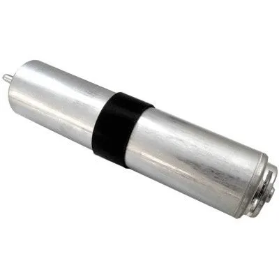 Fuel Filter (WG1748197)