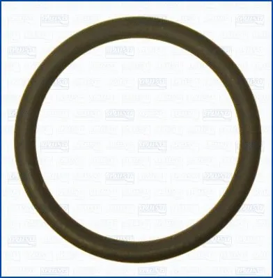 Seal Ring, oil drain plug (WG2081010)