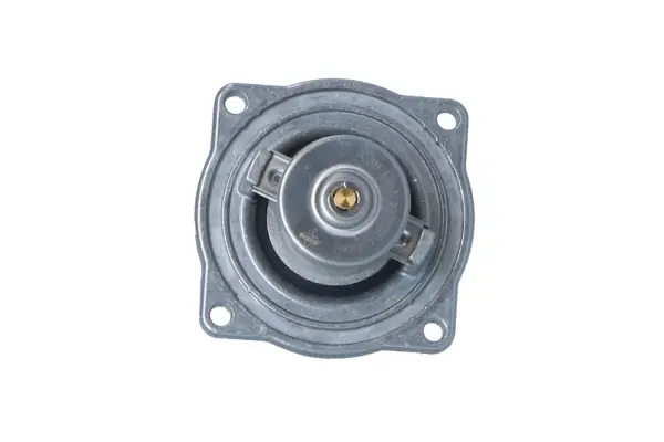 Thermostat, coolant (WG2184637)