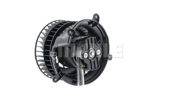 Interior Blower
