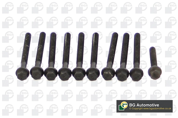 Cylinder Head Bolt Set (WG1490239)