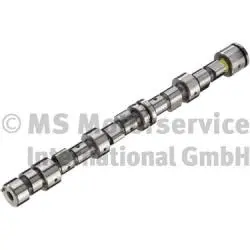 Camshaft (WG1017621)