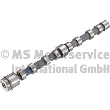 Camshaft (WG1380602)