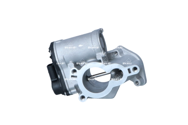 EGR Valve (WG2204516)