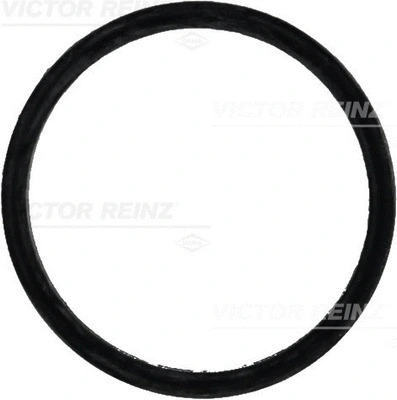 Gasket, intake manifold (WG1247059)