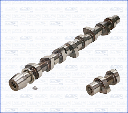 Camshaft (WG1171080)