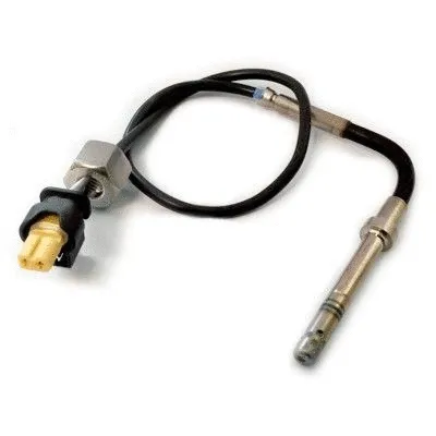 Sensor, exhaust gas temperature (WG1805454)