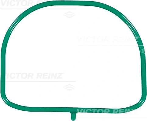 Gasket, intake manifold (WG1247645)