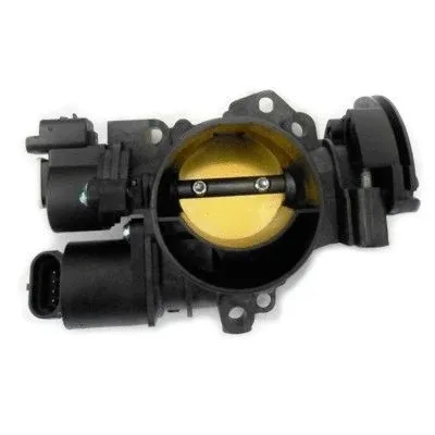 Throttle Body (WG1268463)