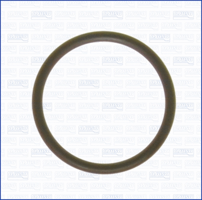Seal Ring, coolant pipe (WG1451727)