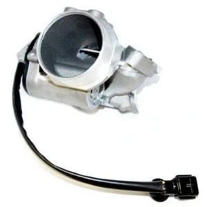 EGR Valve (WG1015363)