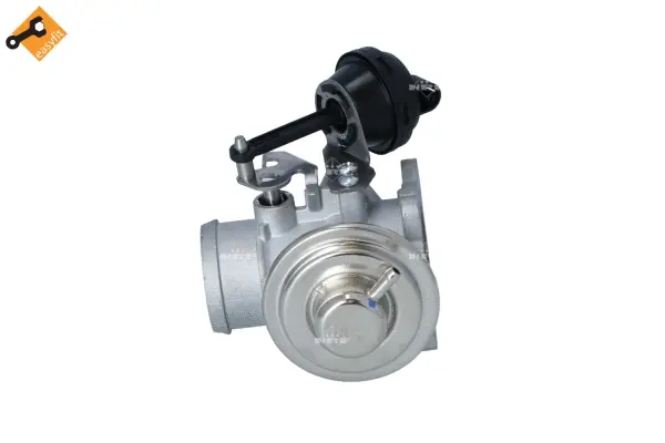 EGR Valve (WG2161810)