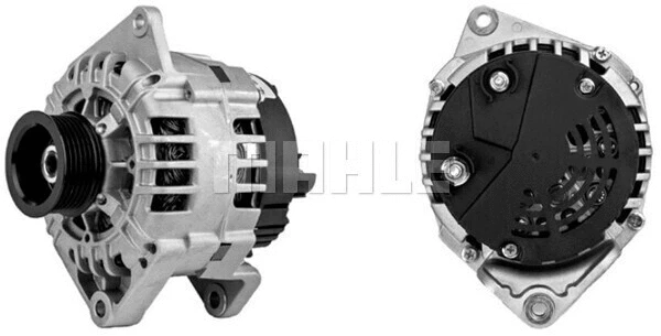 Alternator (WG2203019)