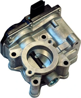 Throttle Body (WG1013565)