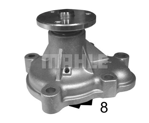 Water Pump, engine cooling (WG2181980)