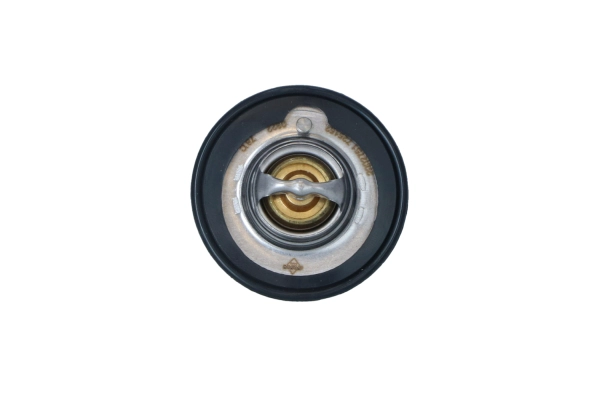Thermostat, coolant (WG2204559)
