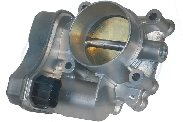 Throttle Body (WG1495044)