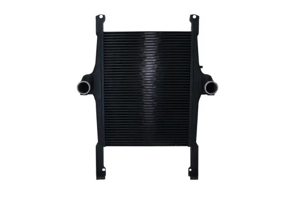 Charge Air Cooler (WG1724172)