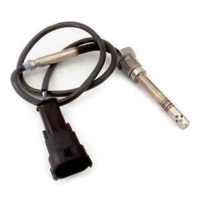 Sensor, exhaust gas temperature (WG1796256)