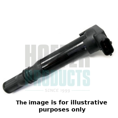 Ignition Coil (WG1903867)