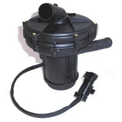 Secondary Air Pump (WG1409028)