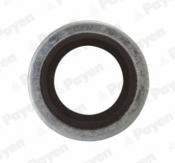 Seal Ring, oil drain plug (WG1184743)