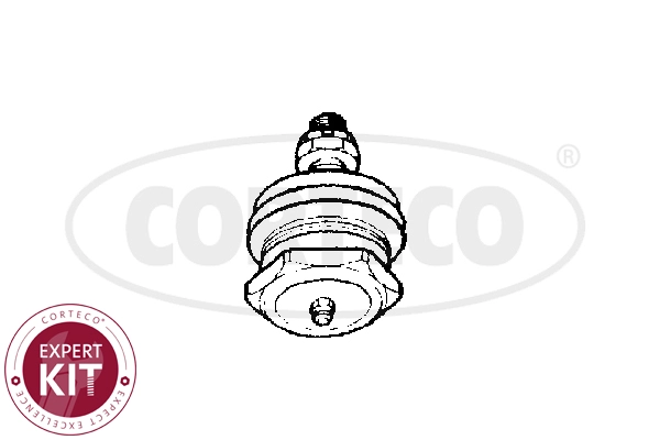 Ball Joint (WG2288382)