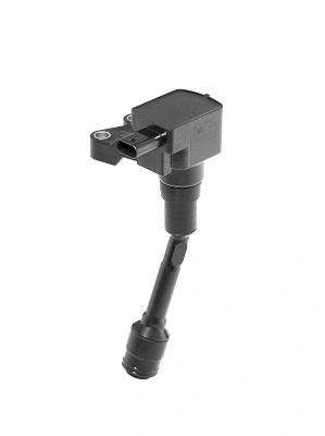 Ignition Coil (WG2112956)
