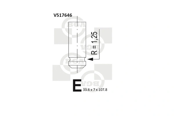 Exhaust Valve (WG1491472)