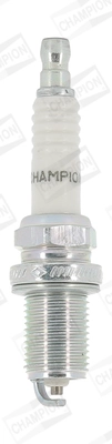 Spark Plug (WG2010123)
