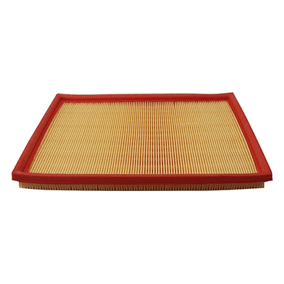 Air Filter (WG2152185)