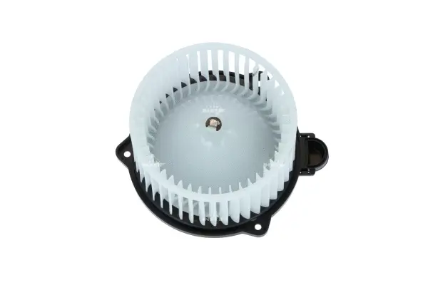 Interior Blower (WG2160381)
