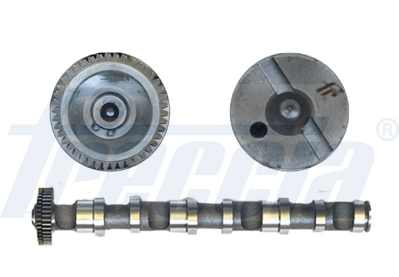 Camshaft (WG1150115)