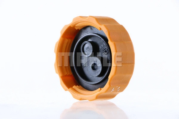 Cap, coolant tank
