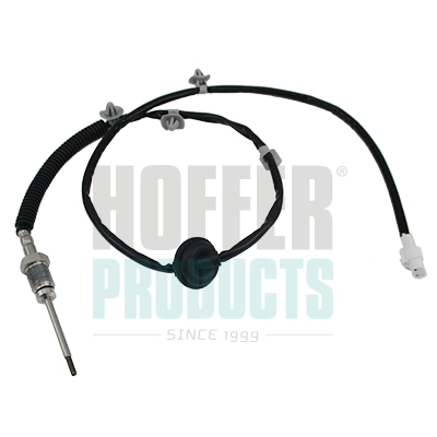 Sensor, exhaust gas temperature (WG2177531)