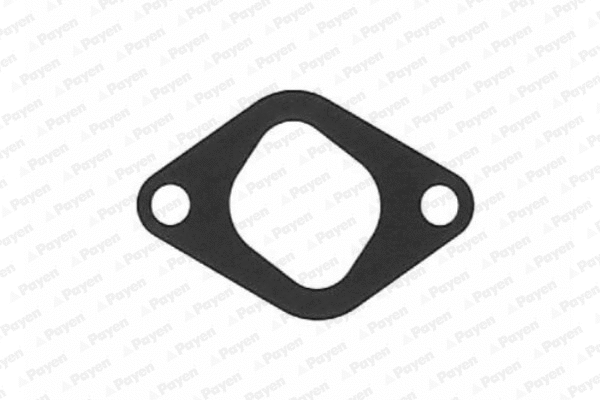 Gasket, exhaust manifold (WG1181650)