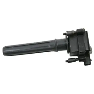Ignition Coil (WG1977728)
