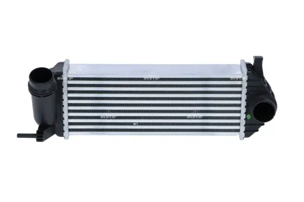 Charge Air Cooler (WG2158776)
